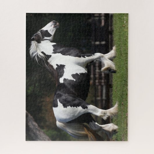 Bob Langrish Black en White Gypsy Vanner Walking Legpuzzel (Verticaal)