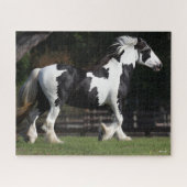 Bob Langrish Black en White Gypsy Vanner Walking Legpuzzel (Horizontaal)