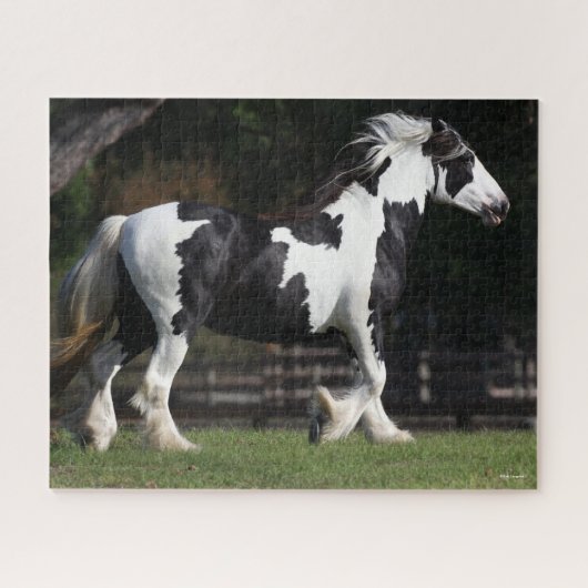 Bob Langrish Black en White Gypsy Vanner Walking Legpuzzel (Horizontaal)