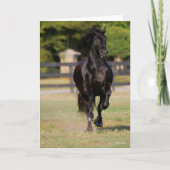 Bob Langrish | Black Friesian Horse Running Kaart (Voorkant)
