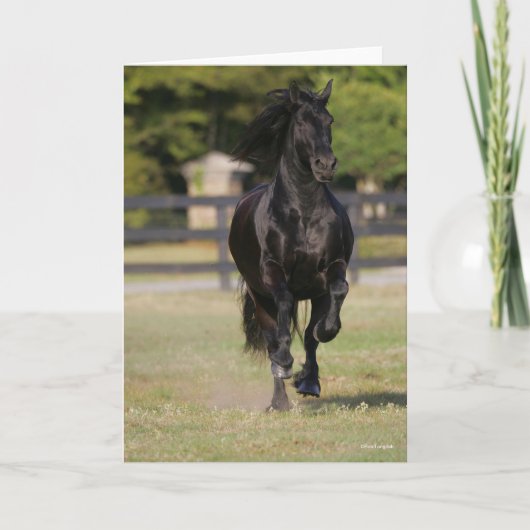 Bob Langrish | Black Friesian Horse Running Kaart (Voorkant)