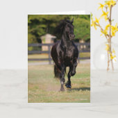 Bob Langrish | Black Friesian Horse Running Kaart (Gele Bloem)