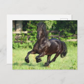 Bob Langrish | Black Friesian Running Briefkaart (Voorkant / Achterkant)