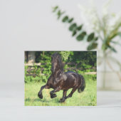 Bob Langrish | Black Friesian Running Briefkaart (Staand voorkant)