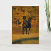Bob Langrish | Black Friesian Running In Autumn Kaart (Voorkant)