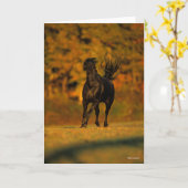 Bob Langrish | Black Friesian Running In Autumn Kaart (Gele Bloem)