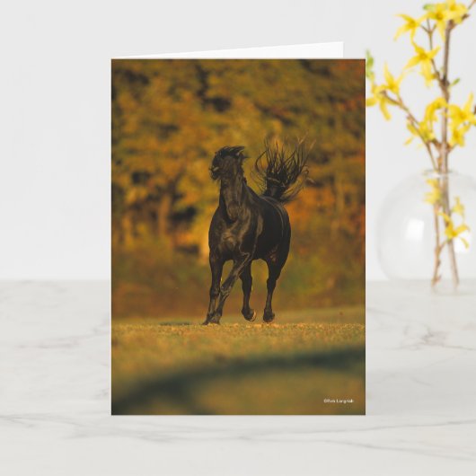 Bob Langrish | Black Friesian Running In Autumn Kaart (Gele Bloem)
