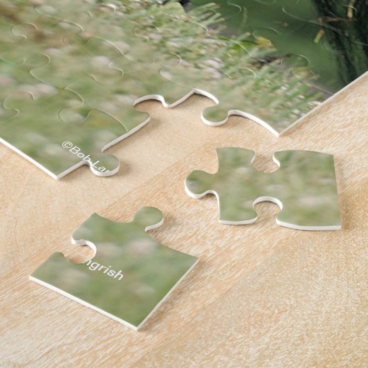 Bob Langrish | Black Morgan Horse Trotting Legpuzzel (Zijkant)