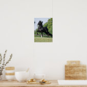 Bob Langrish | Black Morgan Horse Trotting Poster (Keuken)