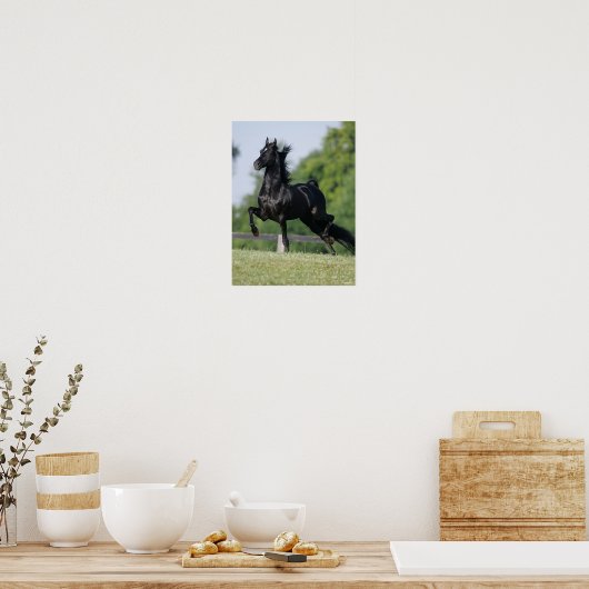 Bob Langrish | Black Morgan Horse Trotting Poster (Keuken)
