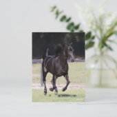 Bob Langrish | Black Tennessee Walker Running Briefkaart (Staand voorkant)