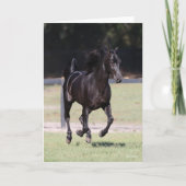 Bob Langrish | Black Tennessee Walker Running Kaart (Voorkant)