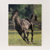 Bob Langrish | Black Warmblood Stallion Runing Legpuzzel (Verticaal)