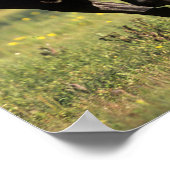 Bob Langrish | Black Warmblood Stallion Runing Poster (Hoek)