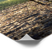 Bob Langrish | Bloedstaal met achtergrondverlichti Poster (Hoek)