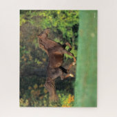 Bob Langrish | Bruine Rocky Mountain Horse Running Legpuzzel (Verticaal)