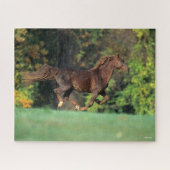 Bob Langrish | Bruine Rocky Mountain Horse Running Legpuzzel (Horizontaal)