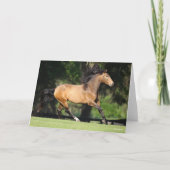 Bob Langrish | Buckskin Lusitano Running Kaart (Voorkant)