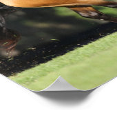 Bob Langrish | Buckskin Lusitano Running Poster (Hoek)