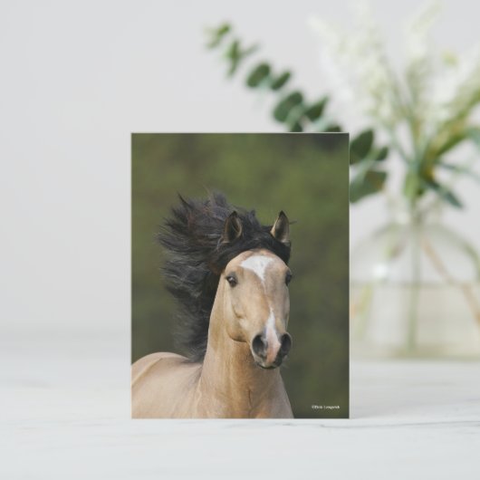 Bob Langrish | Buckskin Welsh Pony Headshot Briefkaart (Staand voorkant)
