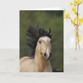 Bob Langrish | Buckskin Welsh Pony Headshot Kaart (Gele Bloem)