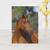 Bob Langrish | Canadese sportkop Kaart (Gele Bloem)