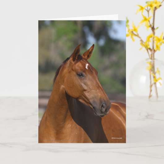 Bob Langrish | Canadese sportkop Kaart (Gele Bloem)