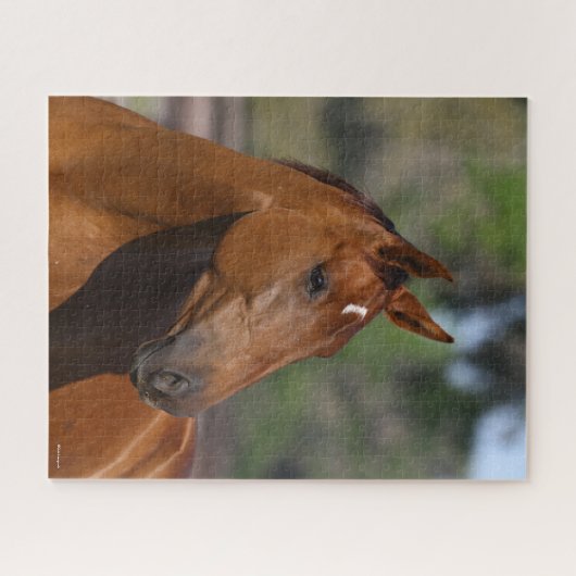 Bob Langrish | Canadese sportkop Legpuzzel (Horizontaal)