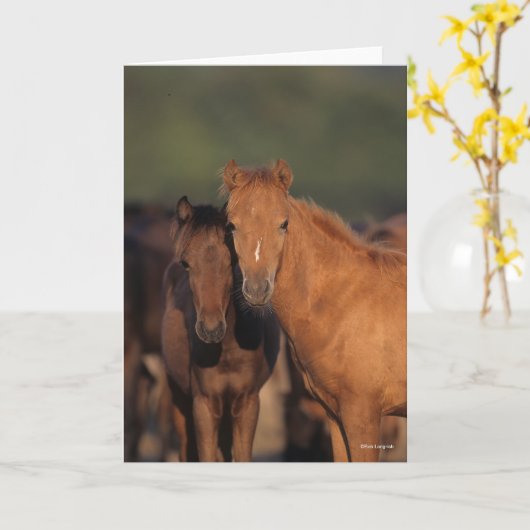 Bob Langrish Caspian Pony Foals Permanent Kaart (Gele Bloem)