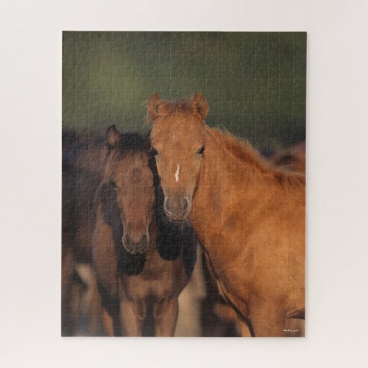 Bob Langrish Caspian Pony Foals Permanent Legpuzzel (Verticaal)