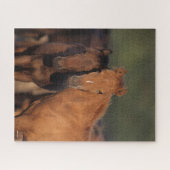 Bob Langrish Caspian Pony Foals Permanent Legpuzzel (Horizontaal)