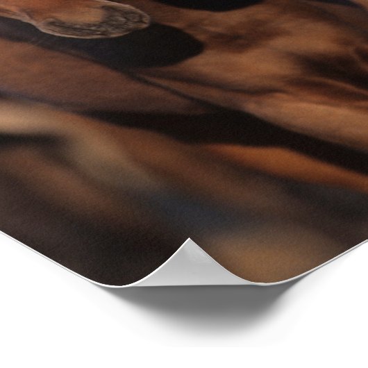 Bob Langrish Caspian Pony Foals Permanent Poster (Hoek)