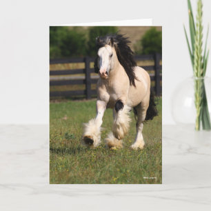 Bob Langrish Champagne Color Gypsy Vanner Running Kaart