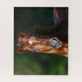 Bob Langrish Chestnut Andalucian Stallion Headshot Legpuzzel (Verticaal)
