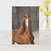 Bob Langrish | Chestnut Hackney Headshot Kaart (Gele Bloem)