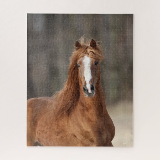 Bob Langrish | Chestnut Hackney Headshot Legpuzzel (Verticaal)