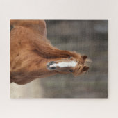 Bob Langrish | Chestnut Hackney Headshot Legpuzzel (Horizontaal)