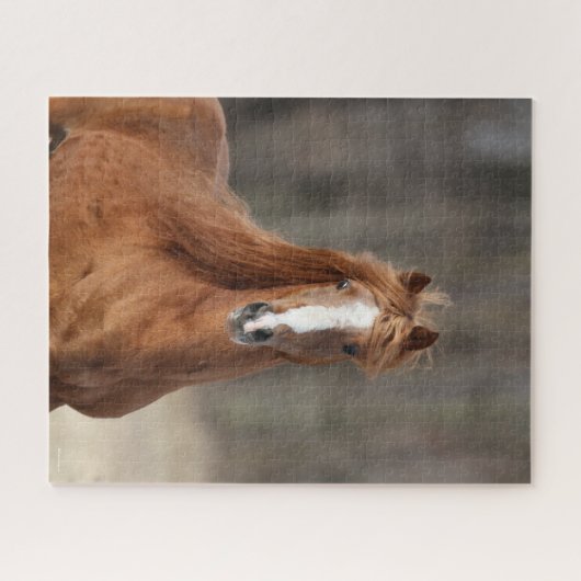 Bob Langrish | Chestnut Hackney Headshot Legpuzzel (Horizontaal)