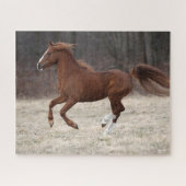 Bob Langrish | Chestnut Hackney-Pony aan de gang Legpuzzel (Horizontaal)