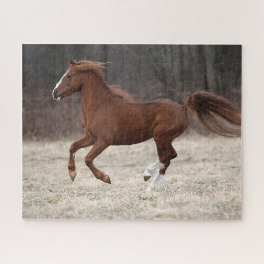 Bob Langrish | Chestnut Hackney-Pony aan de gang Legpuzzel (Horizontaal)