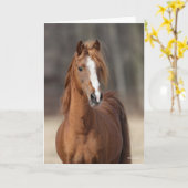 Bob Langrish | Chestnut Hackney Pony headshot Kaart (Gele Bloem)