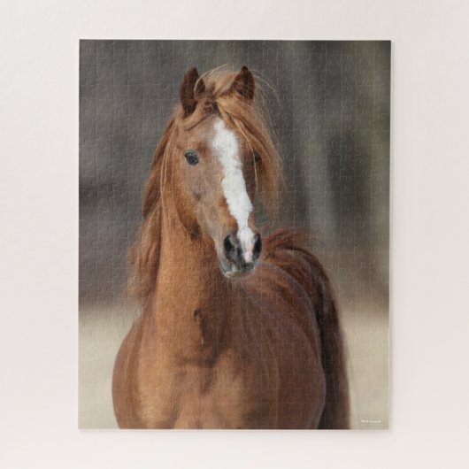 Bob Langrish | Chestnut Hackney Pony headshot Legpuzzel (Verticaal)