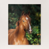 Bob Langrish | Chestnut Hanoverian Horse Headshot Legpuzzel (Verticaal)