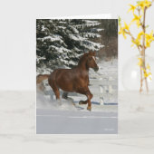 Bob Langrish | Chestnut in de sneeuw Kaart (Gele Bloem)