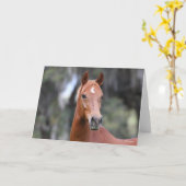 Bob Langrish | Chestnut Oldenburg Headshot Kaart (Gele Bloem)