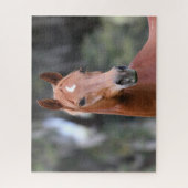 Bob Langrish | Chestnut Oldenburg Headshot Legpuzzel (Verticaal)