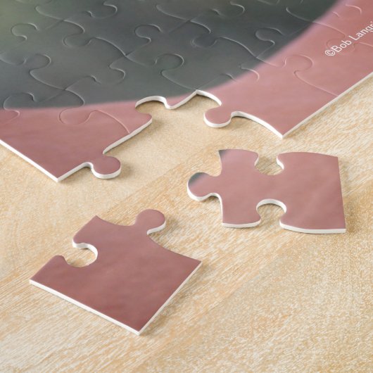 Bob Langrish | Chestnut Oldenburg Headshot Legpuzzel (Zijkant)