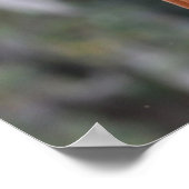 Bob Langrish | Chestnut Oldenburg Headshot Poster (Hoek)