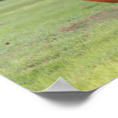 Bob Langrish | Chestnut Oldenburg Poster (Hoek)