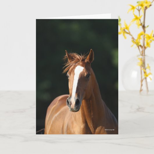 Bob Langrish | Chestnut Quarter Horse Headshot Kaart (Gele Bloem)